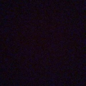 Meet your Posher, Kelsie